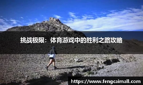 挑战极限：体育游戏中的胜利之路攻略